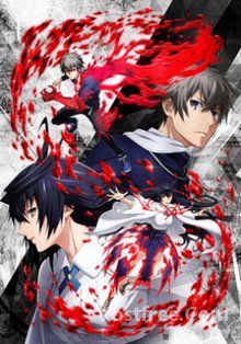 Lord Of Vermilion VOSTFR