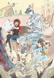 Hataraku Saibou VOSTFR