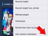 version ordinateur