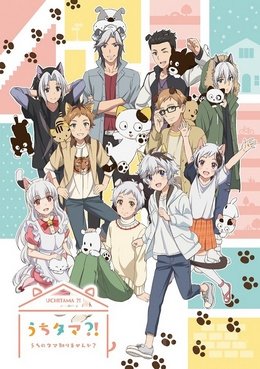 Uchitama: Uchi no Tama Shirimasenka? VOSTFR