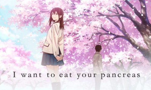 Kimi no Suizo wo Tabetai FRENCH
